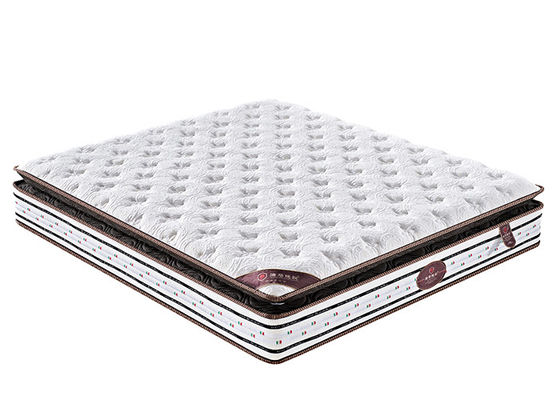 High Density Organic Cotton Foam Mattress , OEM Thickened King Pocket Spring Mattress